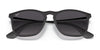 Ray-Ban CHRIS RB4187 Sunglasses | Size 54 / Light Havana №710/71 / Dark Green (3N 12.9%)