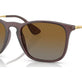 Transparent Brown №6593T5