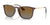 Ray-Ban CHRIS RB4187 Sunglasses | Size 54 / Transparent Brown №6593T5