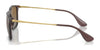 Ray-Ban CHRIS RB4187 Sunglasses | Size 54 / Light Havana №710/71 / Dark Green (3N 12.9%)