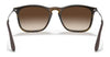 Ray-Ban CHRIS RB4187 Sunglasses | Size 54 / Light Havana №710/71 / Dark Green (3N 12.9%)