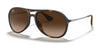 Ray-Ban ALEX RB4201 Sunglasses | Size 59 / Havana №865/13 / Brown Gradient Dark Brown (3N 16%)