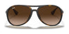 Ray-Ban ALEX RB4201 Sunglasses | Size 59 / Havana №865/13 / Brown Gradient Dark Brown (3N 16%)
