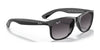 Ray-Ban ANDY RB4202 Sunglasses | Size 55 / Black №606971 / Green (3N 12.9%)