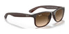 Ray-Ban ANDY RB4202 Sunglasses | Size 55 / Black №606971 / Green (3N 12.9%)