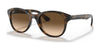 Ray-Ban RB4203 Sunglasses | Size 51 / Light Havana №710/13 / Brown Gradient (3N 16%)