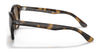 Ray-Ban RB4203 Sunglasses | Size 51 / Light Havana №710/13 / Brown Gradient (3N 16%)