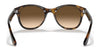 Ray-Ban RB4203 Sunglasses | Size 51 / Light Havana №710/13 / Brown Gradient (3N 16%)