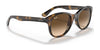 Ray-Ban RB4203 Sunglasses | Size 51 / Light Havana №710/13 / Brown Gradient (3N 16%)