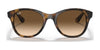 Ray-Ban RB4203 Sunglasses | Size 51 / Light Havana №710/13 / Brown Gradient (3N 16%)