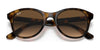 Ray-Ban RB4203 Sunglasses | Size 51 / Light Havana №710/13 / Brown Gradient (3N 16%)