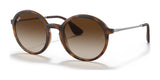 Ray-Ban RB4222 Sunglasses Havana / Brown Gradient Dark Brown