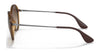 Ray-Ban RB4222 Sunglasses | Size 50 / Havana №865/13 / Brown Gradient (3N 16%)