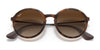 Ray-Ban RB4222 Sunglasses | Size 50 / Havana №865/13 / Brown Gradient (3N 16%)