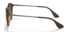 Ray-Ban RB4243 Sunglasses | Size 49 / Havana №865/13 / Brown Gradient (3N 16%)