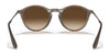 Ray-Ban RB4243 Sunglasses | Size 49 / Havana №865/13 / Brown Gradient (3N 16%)