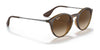 Ray-Ban RB4243 Sunglasses | Size 49 / Havana №865/13 / Brown Gradient (3N 16%)