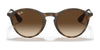 Ray-Ban RB4243 Sunglasses | Size 49 / Havana №865/13 / Brown Gradient (3N 16%)