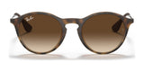 Ray-Ban RB4243 Sunglasses | Size 49