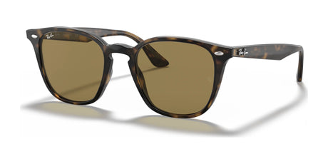 Ray-Ban RB4258 Sunglasses | Size 50