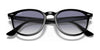 Ray-Ban RB4259 Sunglasses | Size 51 / Black №601/71 / Green (3N 12.9%)