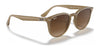 Ray-Ban RB4259 Sunglasses | Size 51 / Black №601/71 / Green (3N 12.9%)