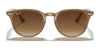 Ray-Ban RB4259 Sunglasses | Size 51 / Black №601/71 / Green (3N 12.9%)
