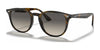 Ray-Ban RB4259 Sunglasses | Size 51 / Light Havana №710/11 / Grey Gradient (2N 22.8%)