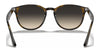 Ray-Ban RB4259 Sunglasses | Size 51 / Black №601/71 / Green (3N 12.9%)