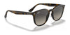 Ray-Ban RB4259 Sunglasses | Size 51 / Black №601/71 / Green (3N 12.9%)
