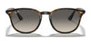 Ray-Ban RB4259 Sunglasses | Size 51 / Black №601/71 / Green (3N 12.9%)