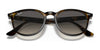 Ray-Ban RB4259 Sunglasses | Size 51 / Black №601/71 / Green (3N 12.9%)