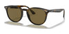 Ray-Ban RB4259 Sunglasses | Size 51 / Light Havana №710/73 / B-15 Brown (3N 13.5%)