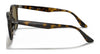 Ray-Ban RB4259 Sunglasses | Size 51 / Black №601/71 / Green (3N 12.9%)