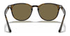 Ray-Ban RB4259 Sunglasses | Size 51 / Black №601/71 / Green (3N 12.9%)