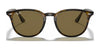 Ray-Ban RB4259 Sunglasses | Size 51 / Black №601/71 / Green (3N 12.9%)