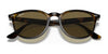 Ray-Ban RB4259 Sunglasses | Size 51 / Black №601/71 / Green (3N 12.9%)