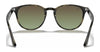 Ray-Ban RB4259 Sunglasses | Size 51 / Black №601/71 / Green (3N 12.9%)