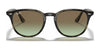 Ray-Ban RB4259 Sunglasses | Size 51 / Black №601/71 / Green (3N 12.9%)