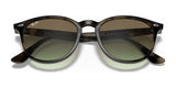 Ray-Ban RB4259 Sunglasses | Size 51