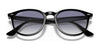 Ray-Ban RB4259F Sunglasses | Size 53 / Black №601/80 / Blue Classic (2N 36.9%)