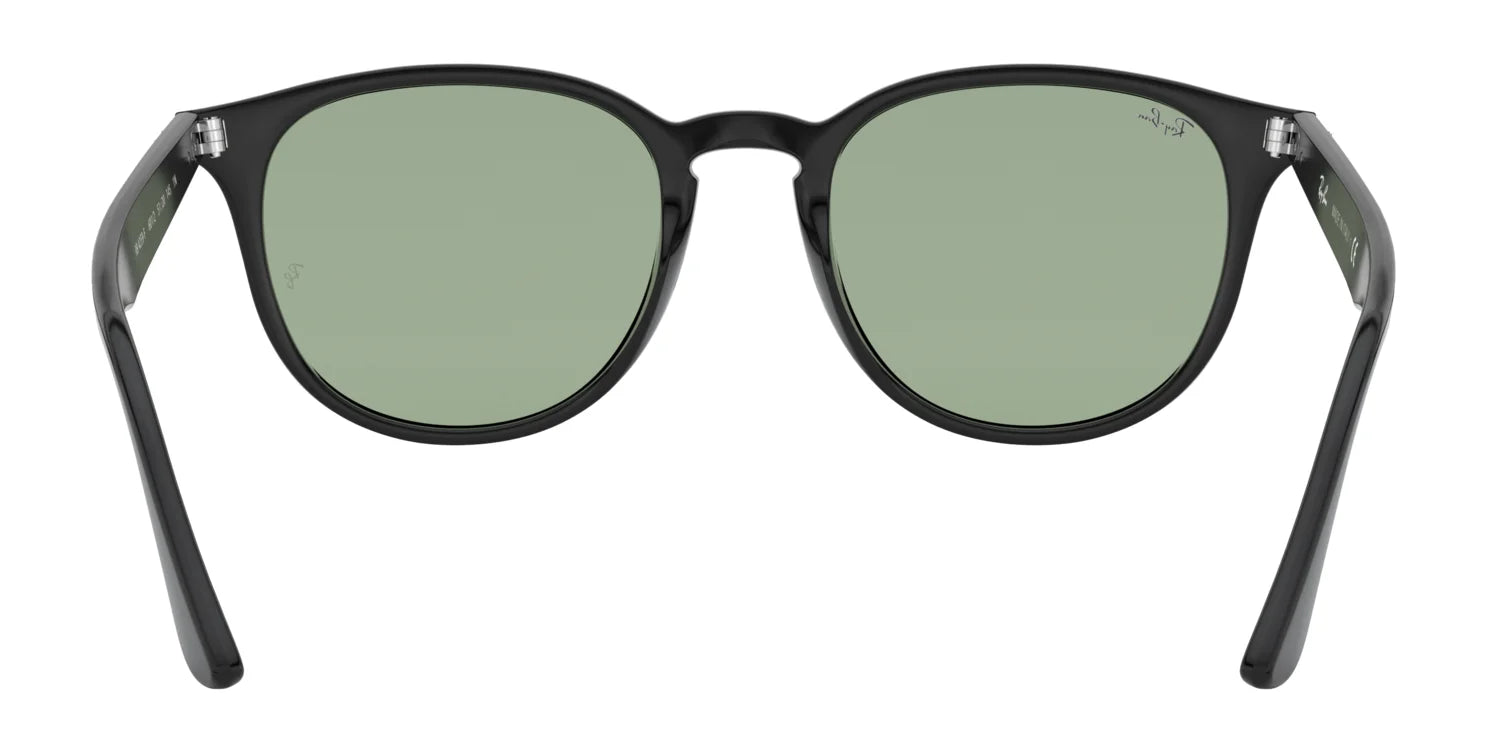 Ray-Ban RB4259F Sunglasses | Size 53