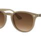 Beige №616613
