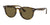 Ray-Ban RB4259F Sunglasses | Size 53 / Light Havana №710/73