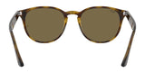 Ray-Ban RB4259F Sunglasses | Size 53