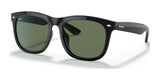 Ray-Ban RB4260D Sunglasses Black / Green Classic