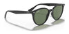 Ray-Ban RB4305 Sunglasses | Size 53 / Light Havana №710/73 / Dark Brown (3N 13.5%)