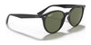 Ray-Ban RB4305 Sunglasses | Size 53 / Light Havana №710/73 / Dark Brown (3N 13.5%)