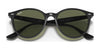Ray-Ban RB4305 Sunglasses | Size 53 / Light Havana №710/73 / Dark Brown (3N 13.5%)