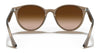 Ray-Ban RB4305 Sunglasses | Size 53 / Light Havana №710/73 / Dark Brown (3N 13.5%)